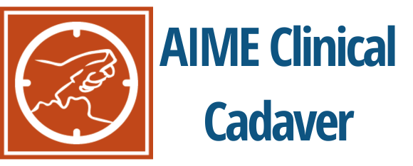 AIME Clinical Cadaver